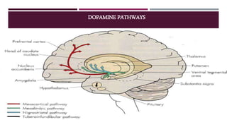 DOPAMINE PATHWAYS
 
