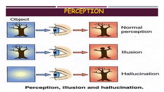 PERCEPTION
 