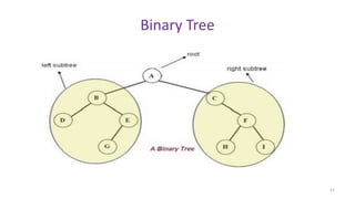 Binary Tree
11
 