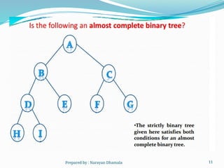 11
Prepared by : Narayan Dhamala
 