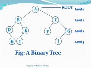 2
Prepared by: Narayan Dhamala
 
