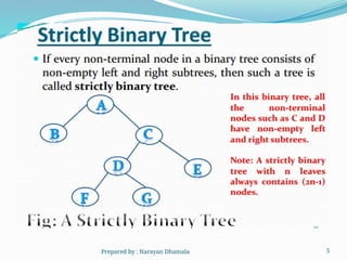 5
Prepared by : Narayan Dhamala
 