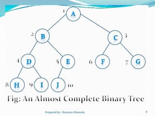 8
Prepared by : Narayan Dhamala
 
