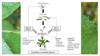 Plant Stress and Herbivory, Consequences of Herbivory to Plant Fitness ...