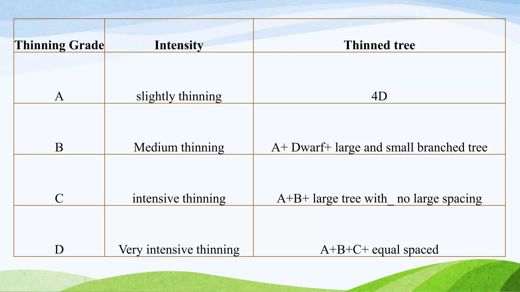 Thinning Grade Intensity Thinned tree
A slightly thinning 4D
B Medium thinning A+ Dwarf+ large and small branched tree
C intensive thinning A+B+ large tree with_ no large spacing
D Very intensive thinning A+B+C+ equal spaced
 