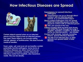 How Infectious Diseases are Spread Transmissions- (or spread) infectious pathogens. Transmissions can occur through direct contact, with an infected person, animal, or a contaminated object Direct contact- Pathogens may be spread when an uninfected person comes into physical contact with an infected person STD’s are spread in this way . Indirect Contact- Both bacteria and viruses can enter the body through the lungs if droplets –exhaled ,coughed, or sneezed out by an infected person - ,are inhales Contact with Animals- Animals, including insects, spread infectious diseases. The bite of an infected dog ,or other animals can spread rabies, a fatal disease Certain objects spread when an un-infected person touches objects that an infected person has used. These objects can include eating utensils, glasses, or toothbrushes. This does include medical needles. Food, water, soil, and even air we breathe contain potentially harmful pathogens. Some forms of infectious diseases are direct result of human carelessness, examples: careless disposal of infectious waste from hospitals, also hazardous waste, This can be deadly. 