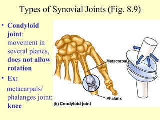 Condyloid joint : movement in several planes,  does not allow rotation Ex: metacarpals/ phalanges joint;  knee Types of Synovial Joints (Fig. 8.9) 