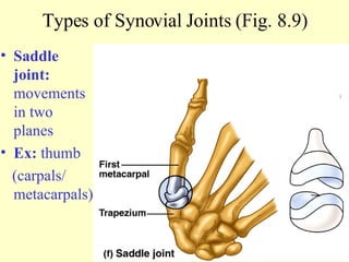 Saddle joint:  movements in two planes Ex:  thumb (carpals/ metacarpals) Types of Synovial Joints (Fig. 8.9) 