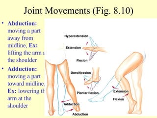 Abduction:  moving a part away from midline,  Ex:  lifting the arm at the shoulder Adduction:  moving a part toward midline,  Ex:  lowering the arm at the shoulder Joint Movements (Fig. 8.10) 