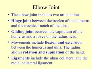 Elbow Joint The elbow joint includes two articulations. Hinge joint  between the troclea of the humerus and the trochlear notch of the ulna. Gliding joint  between the capitulum of the humerus and a fovea on the radius head. Movements include  flexion and extension  between the humerus and ulna. The radius allows  rotation and supination  of the hand. Ligaments  include the ulnar collateral and the radial collateral ligament.  