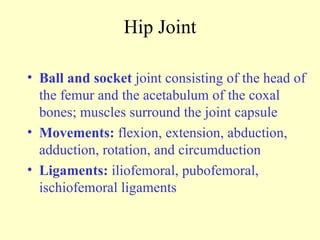 Hip Joint Ball and socket  joint consisting of the head of the femur and the acetabulum of the coxal bones; muscles surround the joint capsule Movements:  flexion, extension, abduction, adduction, rotation, and circumduction Ligaments:  iliofemoral, pubofemoral, ischiofemoral ligaments 
