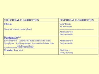 Diarthroses Freely movable Synovial :  knee joint Amphiarthroses Partly movable Cartilaginous:   Synchondroses  (Epiphyseal plate; sternocostal joint) Symphyses  (pubis symphysis; intervertebral disks; both with fibrocartilage) Synarthroses No movement ------------------------------------------------ Amphiarthroses Partly movable Fibrous:   Sutures (between cranial plates) Gomphoses (teeth) ------------------------------------------------------------------ Syndesmoses (Tibio-Fibular Joint) FUNCTIONAL CLASSIFICATION STRUCTURAL CLASSIFICATION 