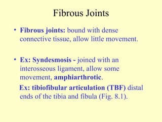 Fibrous Joints Fibrous joints:  bound with dense connective tissue, allow little movement. Ex: Syndesmosis -  joined with an interosseous ligament, allow some movement,  amphiarthrotic .  Ex:   tibiofibular articulation (TBF)  distal ends of the tibia and fibula (Fig. 8.1). 