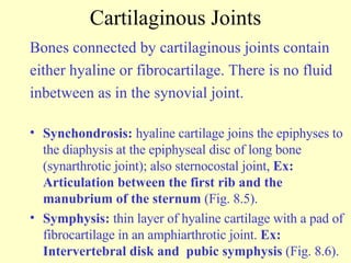 Cartilaginous Joints Bones connected by cartilaginous joints contain either hyaline or fibrocartilage. There is no fluid  inbetween as in the synovial joint. Synchondrosis:  hyaline cartilage joins the epiphyses to the diaphysis at the epiphyseal disc of long bone (synarthrotic joint); also sternocostal joint,  Ex: Articulation between the first rib and the manubrium of the sternum  (Fig. 8.5). Symphysis:  thin layer of hyaline cartilage with a pad of fibrocartilage in an amphiarthrotic joint.  Ex: Intervertebral disk and  pubic symphysis  (Fig. 8.6). 