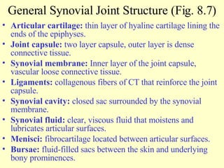 General Synovial Joint Structure (Fig. 8.7) Articular cartilage:  thin layer of hyaline cartilage lining the ends of the epiphyses. Joint capsule:  two layer capsule, outer layer is dense connective tissue. Synovial membrane:  Inner layer of the joint capsule, vascular loose connective tissue. Ligaments:  collagenous fibers of CT that reinforce the joint capsule. Synovial cavity:  closed sac surrounded by the synovial membrane. Synovial fluid:  clear, viscous fluid that moistens and lubricates articular surfaces. Menisci:  fibrocartilage located between articular surfaces. Bursae:  fluid-filled sacs between the skin and underlying bony prominences. 