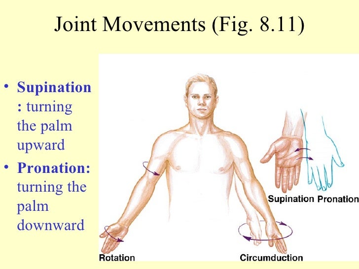 Unit 8 Ppt