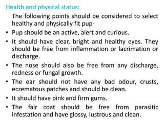 Health and physical status:
The following points should be considered to select
healthy and physically fit pup-
• Pup should be an active, alert and curious.
• It should have clear, bright and healthy eyes. They
should be free from inflammation or lacrimation or
discharge.
• The nose should also be free from any discharge,
redness or fungal growth.
• The ear should not have any bad odour, crusts,
eczematous patches and should be clean.
• It should have pink and firm gums.
• The fair coat should be free from parasitic
infestation and have glossy, lustrous and clean.
 