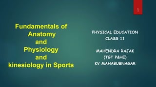 Fundamentals of
Anatomy
and
Physiology
and
kinesiology in Sports
PHYSICAL EDUCATION
CLASS 11
MAHENDRA RAJAK
(TGT P&HE)
KV MAHABUBNAGAR
1
 