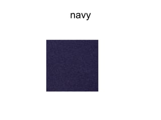 navy 