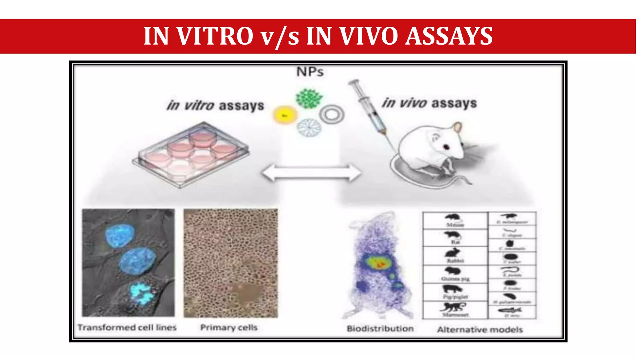 Unit 9 IN VITRO EXPERIMENTATION: ADVANTAGES & DISADVANTAGES | PPTX