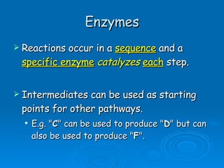 Enzymes Reactions occur in a  sequence  and a  specific enzyme   catalyzes   each  step. Intermediates can be used as starting points for other pathways.  E.g. " C " can be used to produce " D " but can also be used to produce " F ". 