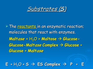 Substrates ( S ) The  reactants   in an enzymatic reaction; molecules that react with enzymes.  Malt ase   + H 2 O +  Maltose      Glucose-Glucose-Malt ase   Complex      Glucose  +  Glucose  +  Malt ase   E   + H 2 O +  S      ES Complex      P  +  E 