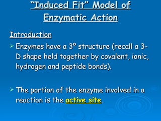 “ Induced Fit” Model of Enzymatic Action Introduction Enzymes have a 3º structure (recall a 3-D shape held together by covalent, ionic, hydrogen and peptide bonds). The portion of the enzyme involved in a reaction is the  active site .  