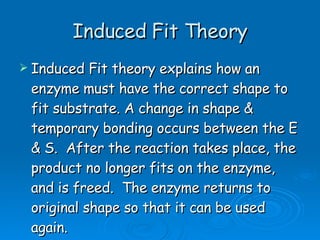 Induced Fit Theory Induced Fit theory explains how an enzyme must have the correct shape to fit substrate. A change in shape & temporary bonding occurs between the E & S.  After the reaction takes place, the product no longer fits on the enzyme, and is freed.  The enzyme returns to original shape so that it can be used again.  