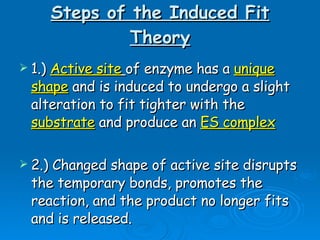 Steps of the Induced Fit Theory 1.)  Active site   of enzyme has a  unique shape  and is induced to undergo a slight alteration to fit tighter with the  substrate  and produce an  ES complex   2.) Changed shape of active site disrupts the temporary bonds, promotes the reaction, and the product no longer fits and is released. 