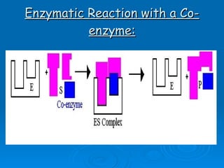 Enzymatic Reaction with a Co-enzyme: 