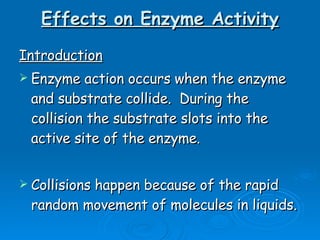 Effects on Enzyme Activity Introduction Enzyme action occurs when the enzyme and substrate collide.  During the collision the substrate slots into the active site of the enzyme. Collisions happen because of the rapid random movement of molecules in liquids. 