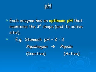 pH Each enzyme has an  optimum pH  that maintains the 3º shape (and its active site!). E.g.  Stomach pH ~ 2 - 3   Pepsinogen      Pepsin   (Inactive)   (Active) 