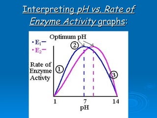 Interpreting  pH vs. Rate of Enzyme Activity  graphs : 