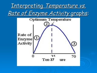 Interpreting  Temperature vs. Rate of Enzyme   Activity  graphs : 37 
