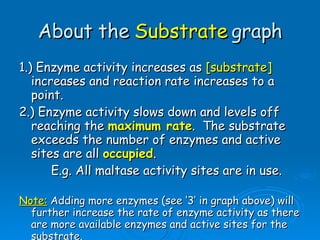 About the  Substrate  graph 1.) Enzyme activity increases as  [substrate]  increases and reaction rate increases to a point. 2.) Enzyme activity slows down and levels off reaching the  maximum rate .  The substrate exceeds the number of enzymes and active sites are all  occupied . E.g. All maltase activity sites are in use. Note:  Adding more enzymes (see ‘3’ in graph above) will further increase the rate of enzyme activity as there are more available enzymes and active sites for the substrate. 