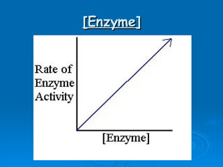 [Enzyme] 