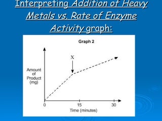 Interpreting  Addition of Heavy Metals vs. Rate of Enzyme   Activity  graph: 