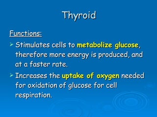Thyroid Functions: Stimulates cells to  metabolize glucose , therefore more energy is produced, and at a faster rate. Increases the  uptake of oxygen  needed for oxidation of glucose for cell respiration. 