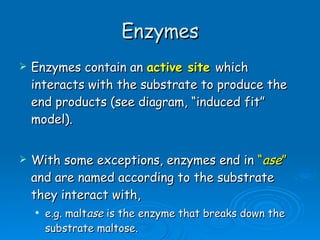 Enzymes Enzymes contain an  active site   which interacts with the substrate to produce the end products (see diagram, “induced fit” model).  With some exceptions, enzymes end in  “ ase ”  and are named according to the substrate they interact with,  e.g. malt ase  is the enzyme that breaks down the substrate maltose.  