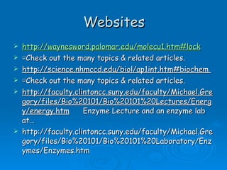 Websites http://waynesword.palomar.edu/molecu1.htm#lock   ☺ Check out the many topics & related articles.  http://science.nhmccd.edu/biol/ap1int.htm#biochem  ☺ Check out the many topics & related articles.  http://faculty.clintoncc.suny.edu/faculty/Michael.Gregory/files/Bio%20101/Bio%20101%20Lectures/Energy/energy.htm   Enzyme Lecture and an enzyme lab at… http://faculty.clintoncc.suny.edu/faculty/Michael.Gregory/files/Bio%20101/Bio%20101%20Laboratory/Enzymes/Enzymes.htm  