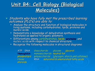 Unit B4: Cell Biology (Biological Molecules) ,[object Object],[object Object],[object Object],[object Object],[object Object],[object Object],[object Object],[object Object],[object Object],[object Object]