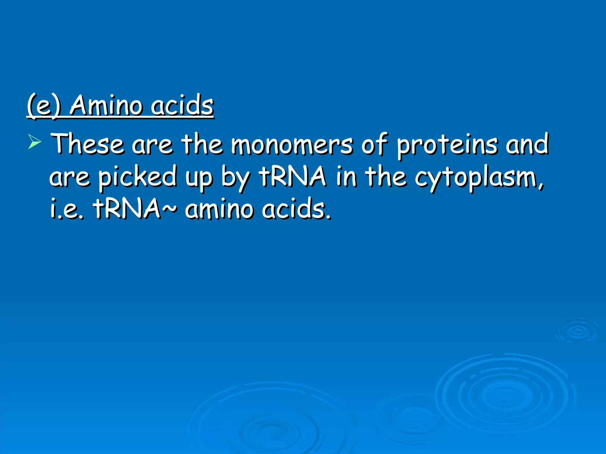 Unit B7 8 Protein Synthesis