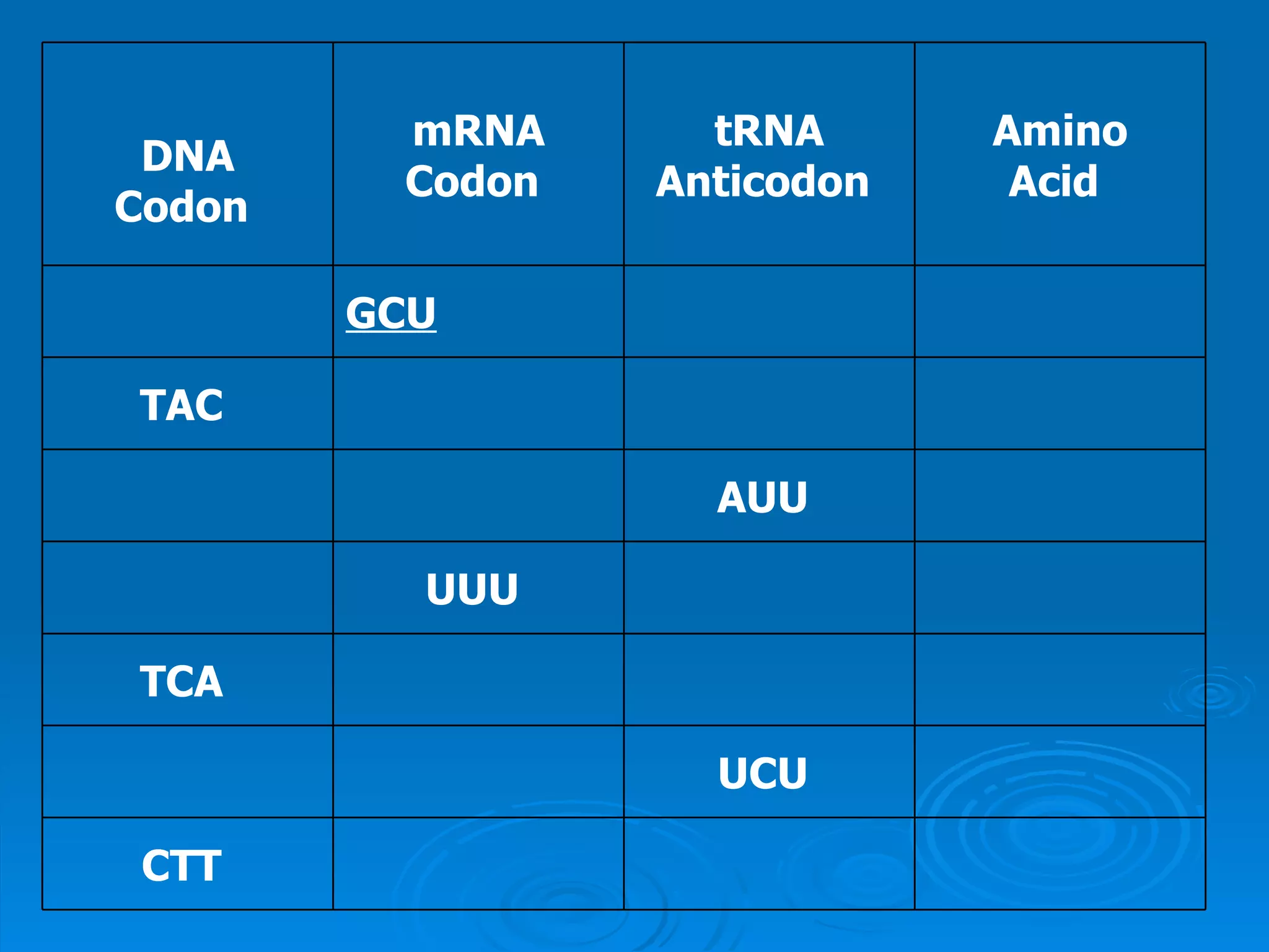 Unit B7 8 Protein Synthesis