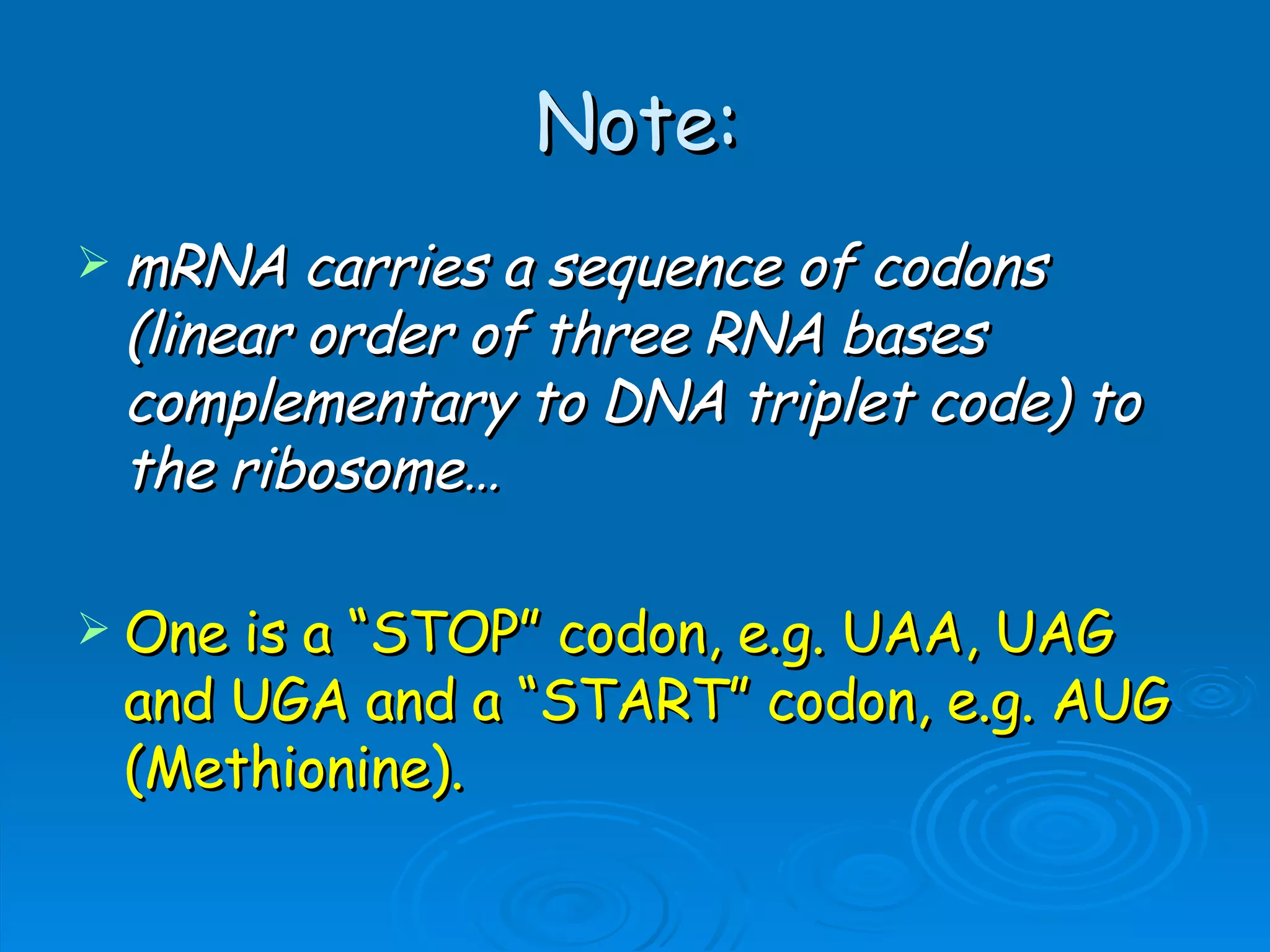 Unit B7 8 Protein Synthesis