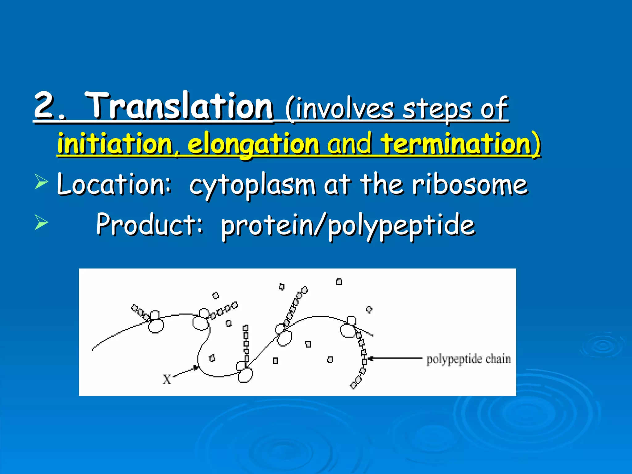 Unit B7 8 Protein Synthesis