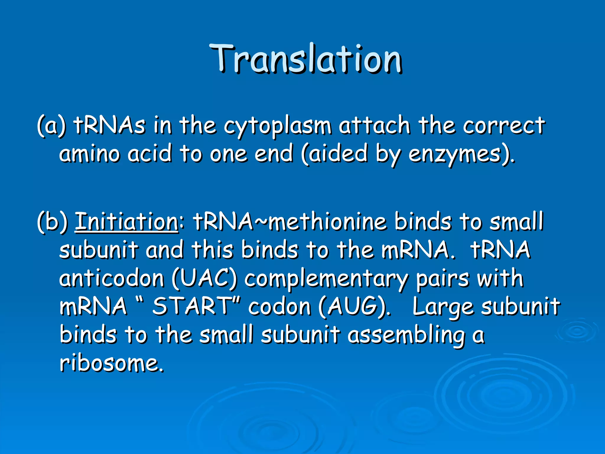 Unit B7 8 Protein Synthesis