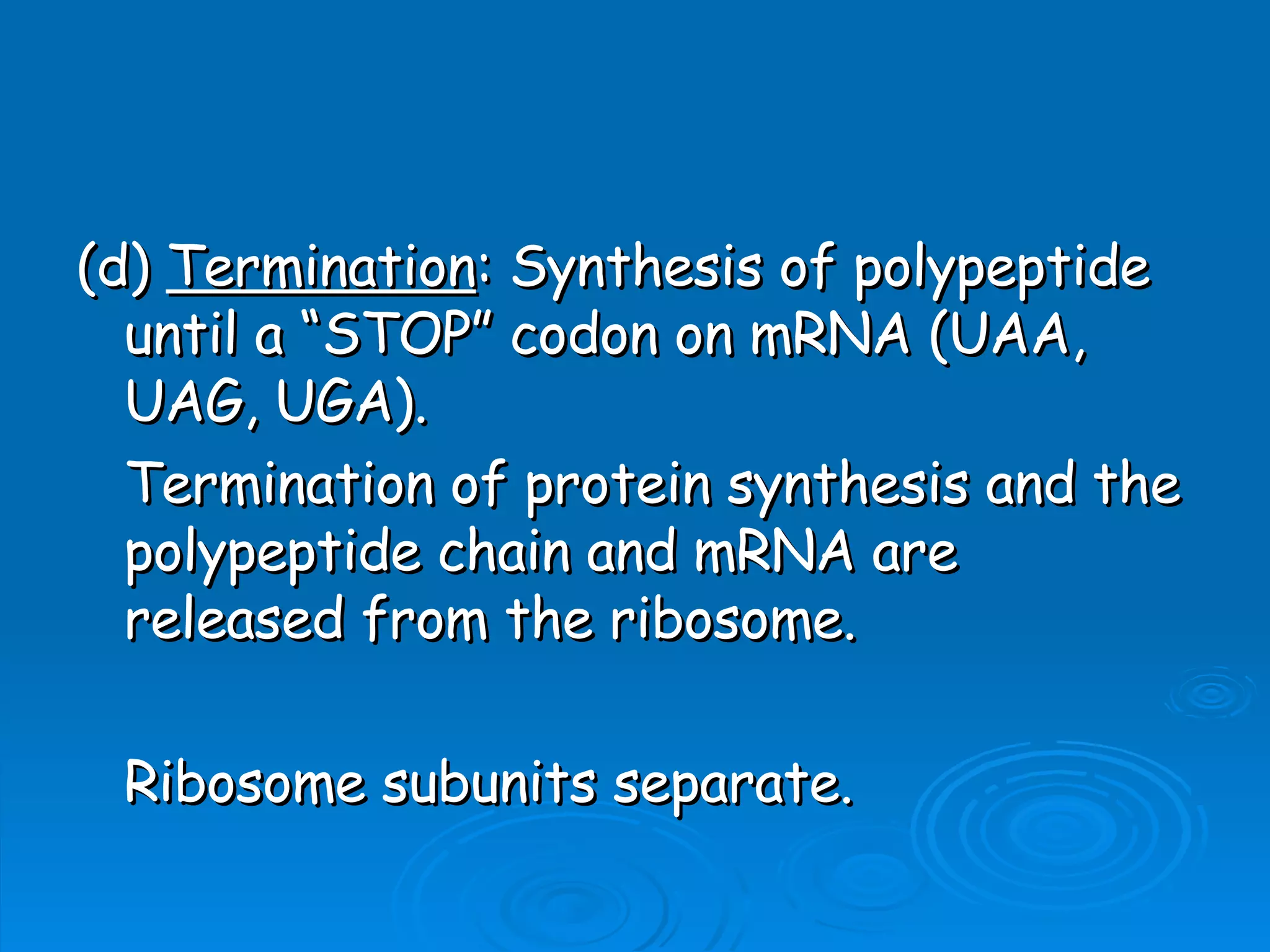 Unit B7 8 Protein Synthesis