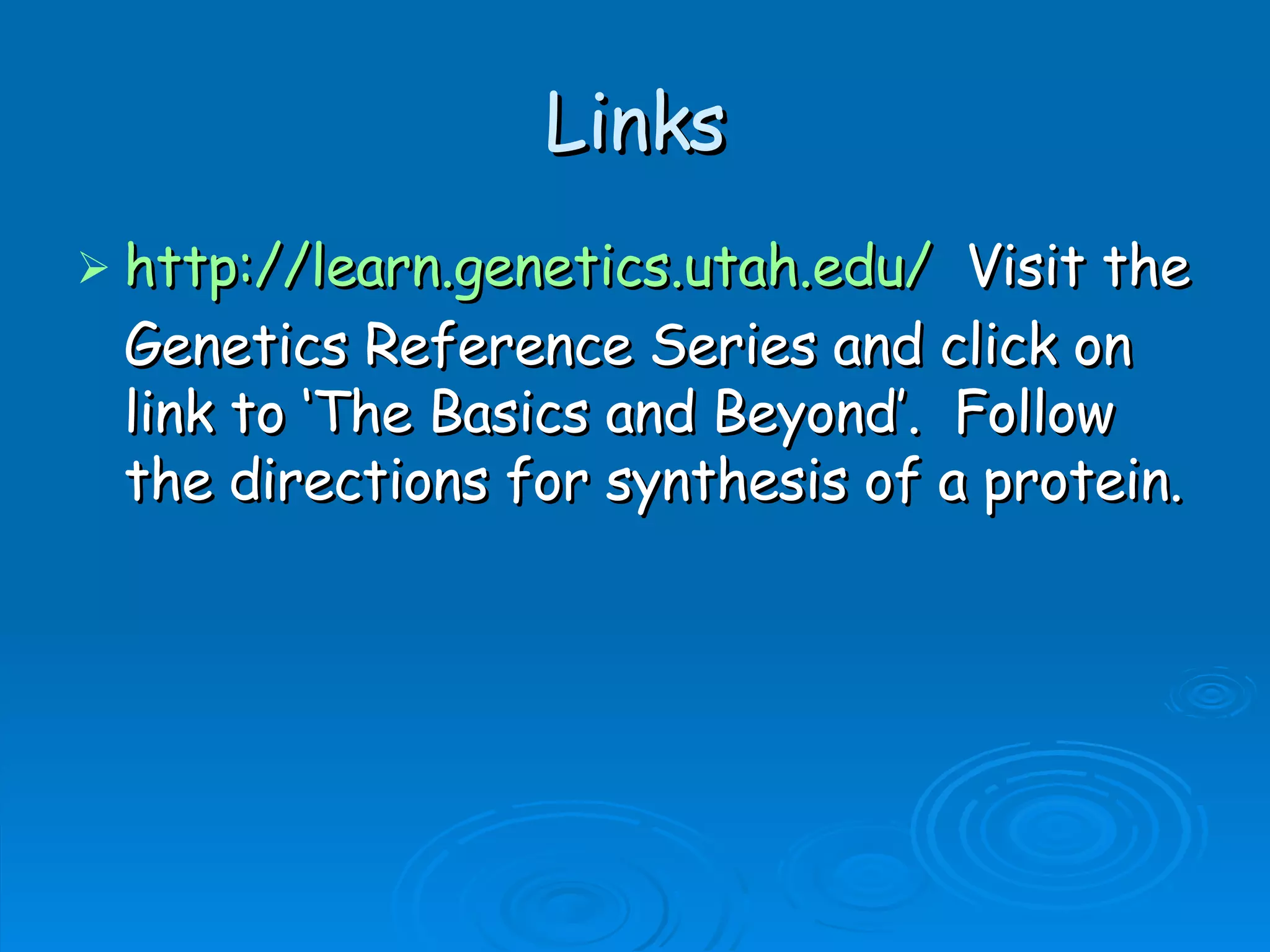Unit B7 8 Protein Synthesis