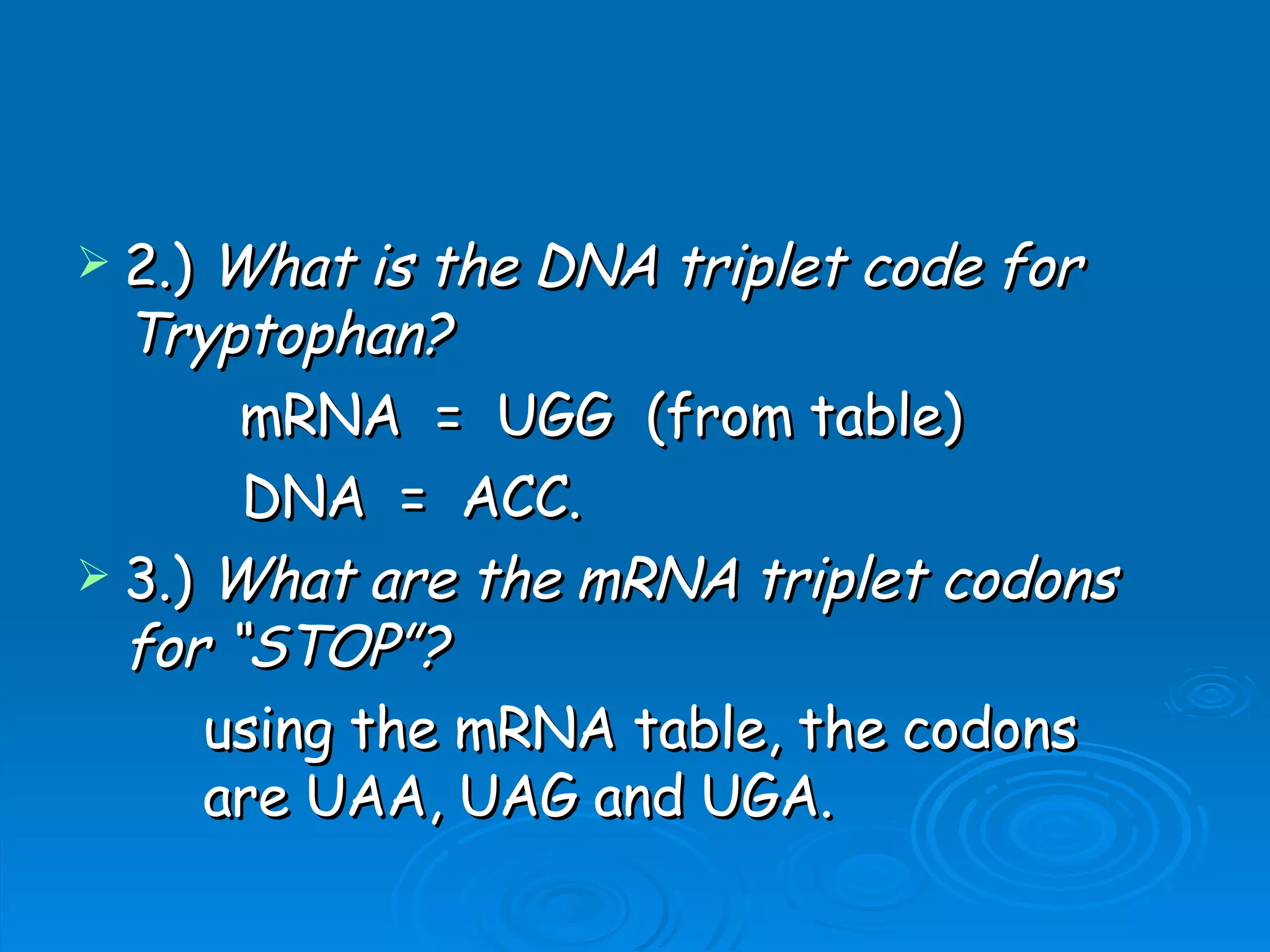 Unit B7 8 Protein Synthesis