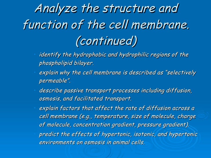 b9 10 cell membranes as cell size increases the